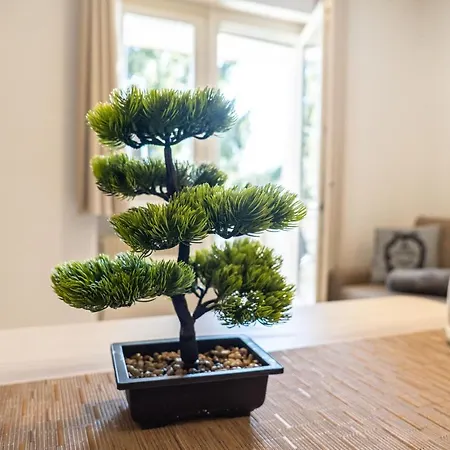 Apartment Flow Wolkenstein